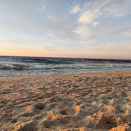 Shellterapartment Pl Lejlighed *